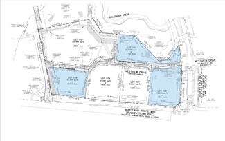 Plus de détails pour Buckeystown Pike, Frederick, MD - Terrain à vendre