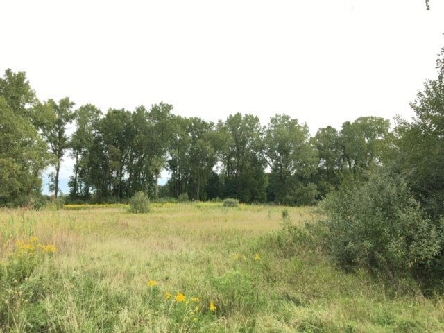 Oakville Waltz Rd, Ash Twp, MI à vendre - Photo de l’immeuble – Image 3 sur 6