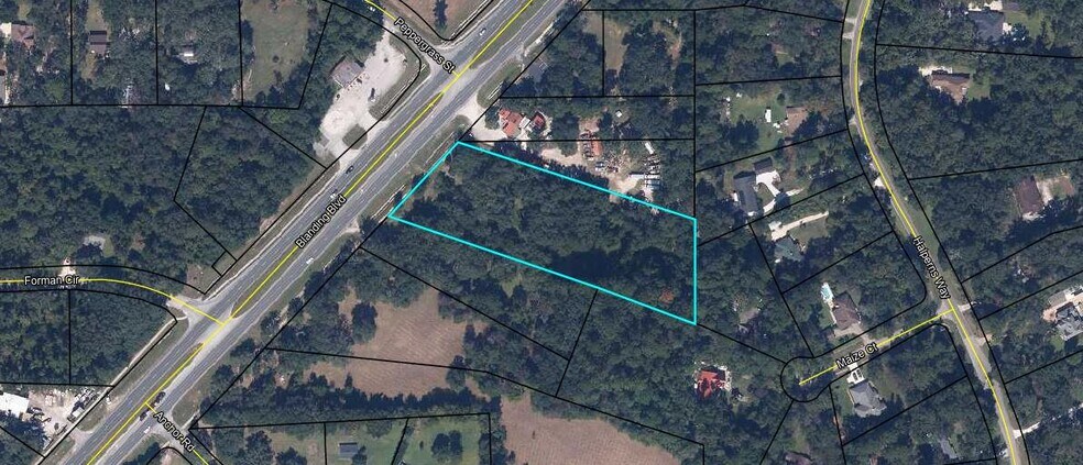 2819 Blanding Blvd, Middleburg, FL à vendre - Aérien – Image 1 sur 5