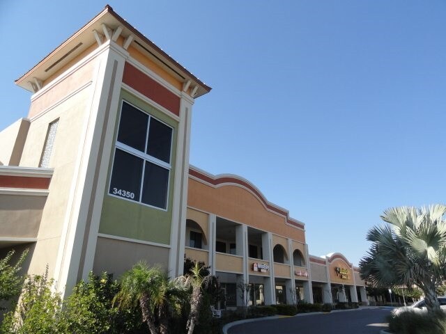 35559-35631 US Highway 19 N, Palm Harbor, FL à louer - Photo de l’immeuble – Image 2 sur 8
