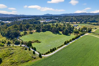 Plus de détails pour 467 Butler Farm Rd, Mills River, NC - Terrain à vendre