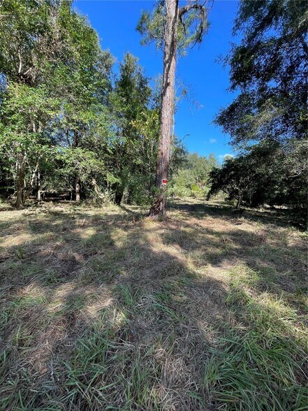 2330 E University Ave, Gainesville, FL à vendre - Autre – Image 3 sur 8