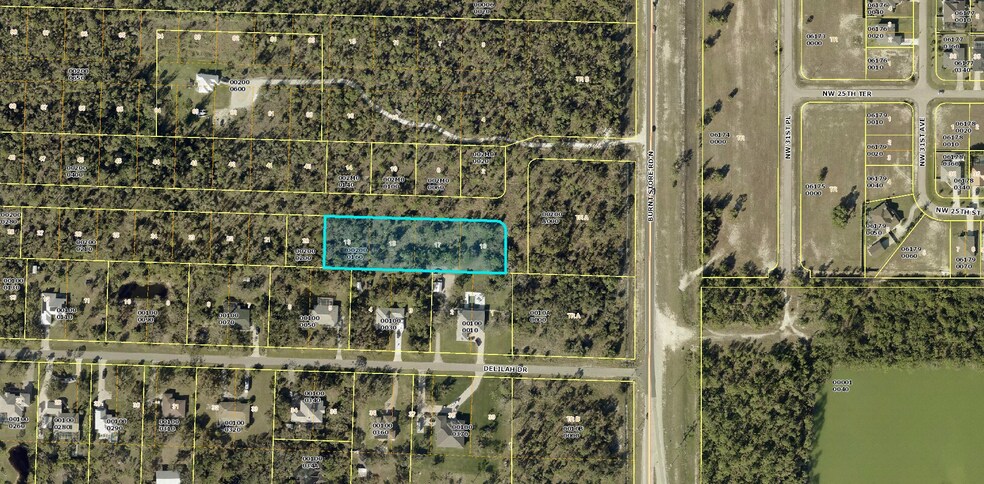 3223 Delilah Drive, Cape Coral, FL à vendre - Aérien – Image 1 sur 2