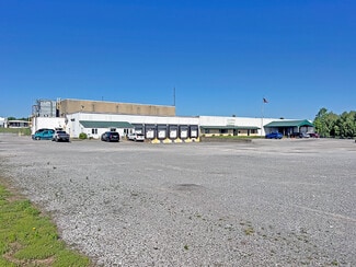 Plus de détails pour 7945 Old Highway 51 N, Cobden, IL - Industriel/Logistique à vendre