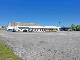 Plus de détails pour 7945 Old Highway 51 N, Cobden, IL - Industriel/Logistique à vendre