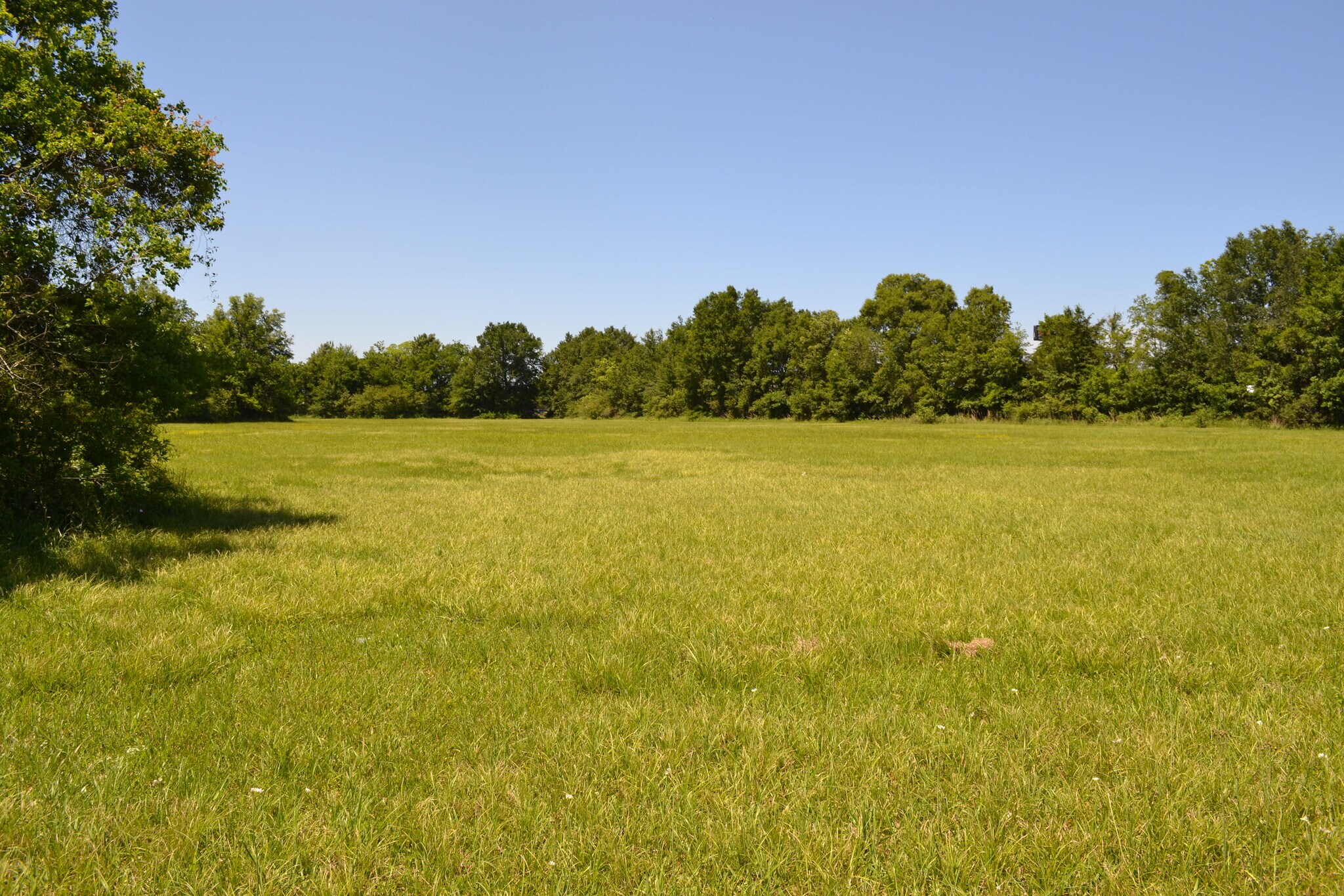 400 Jefferson Terrace, New Iberia, LA à vendre Autre– Image 1 sur 2