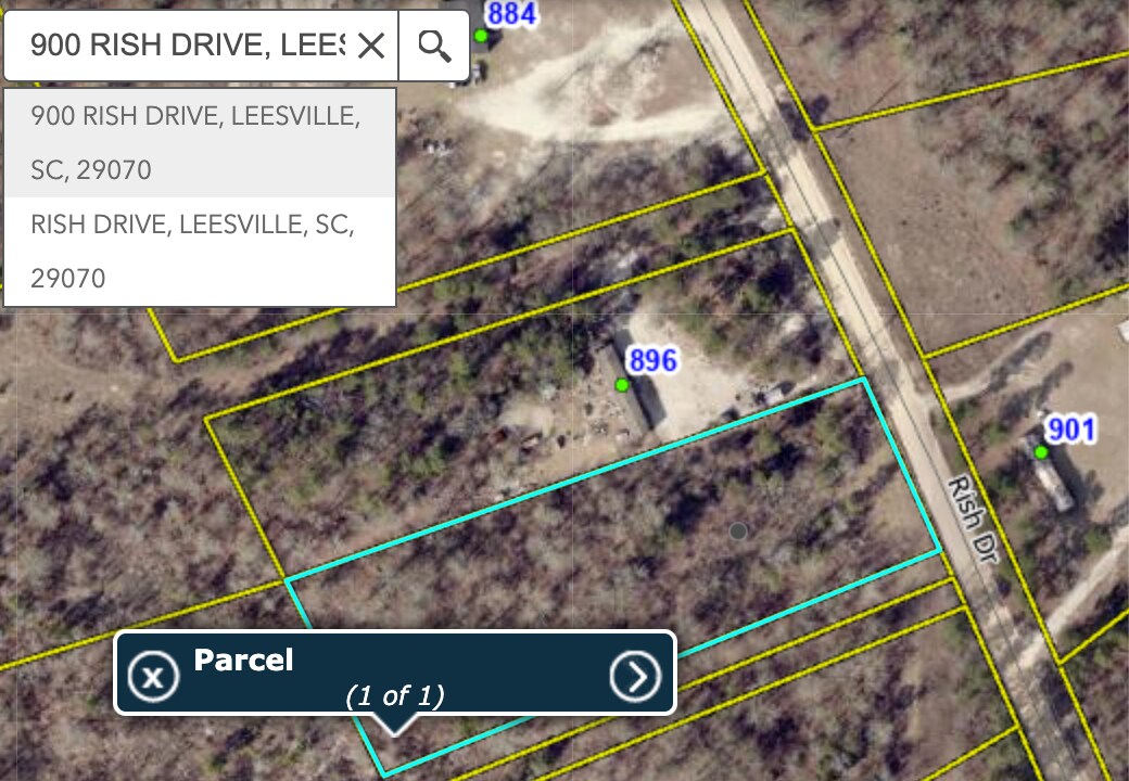900 Rish dr, Leesville, SC à vendre Plan de site– Image 1 sur 2
