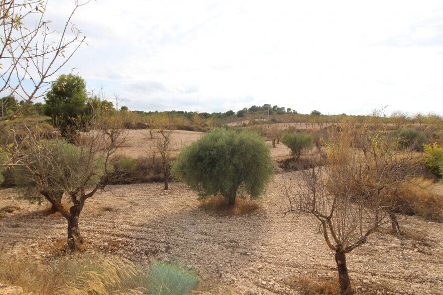 Terrain dans Hondón de los Frailes, Alicante à vendre - Photo de l’immeuble – Image 2 sur 2