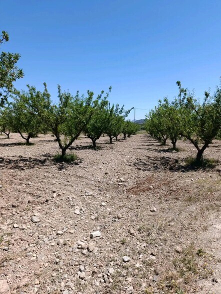 Terrain dans Cehegín, Murcia à vendre - Photo de l’immeuble – Image 2 sur 12
