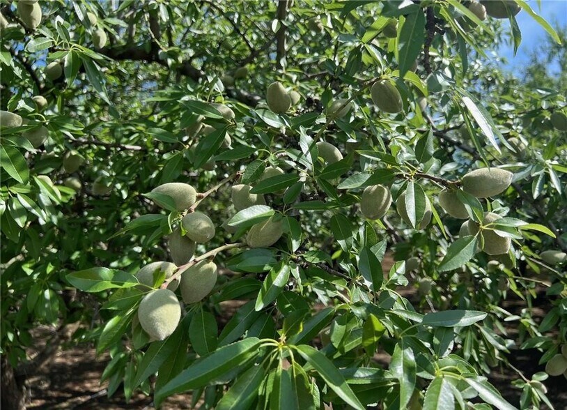 1192 E Gerard Ave, Merced, CA à vendre - Photo de l’immeuble – Image 3 sur 6