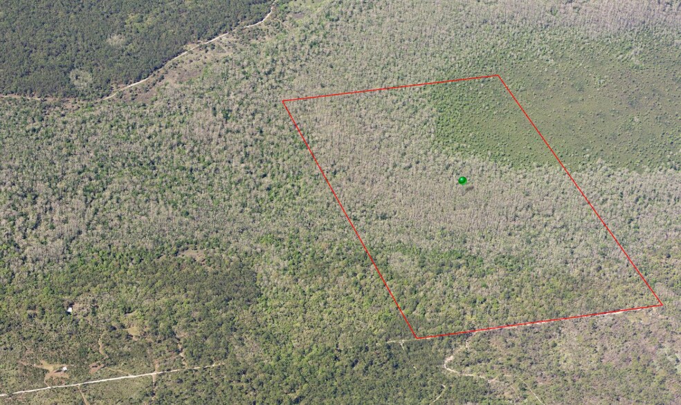 Lake Harney Rd, Osteen, FL à vendre - Photo de l’immeuble – Image 1 sur 14