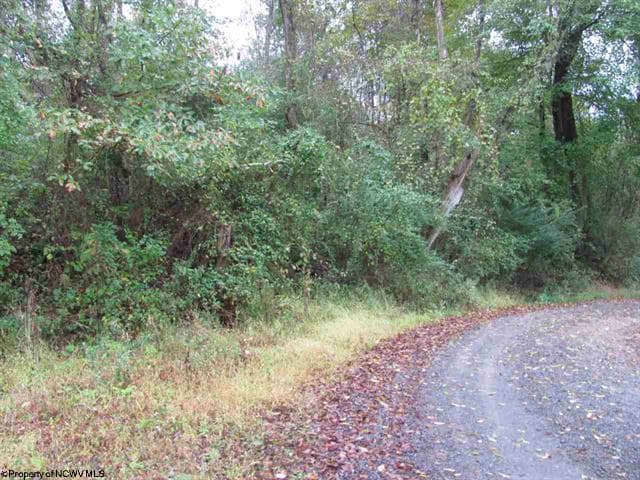 Rosedale Hill, Morgantown, WV à vendre - Autre – Image 2 sur 10