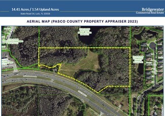 Plus de détails pour State Road 54, Land O Lakes, FL - Terrain à vendre