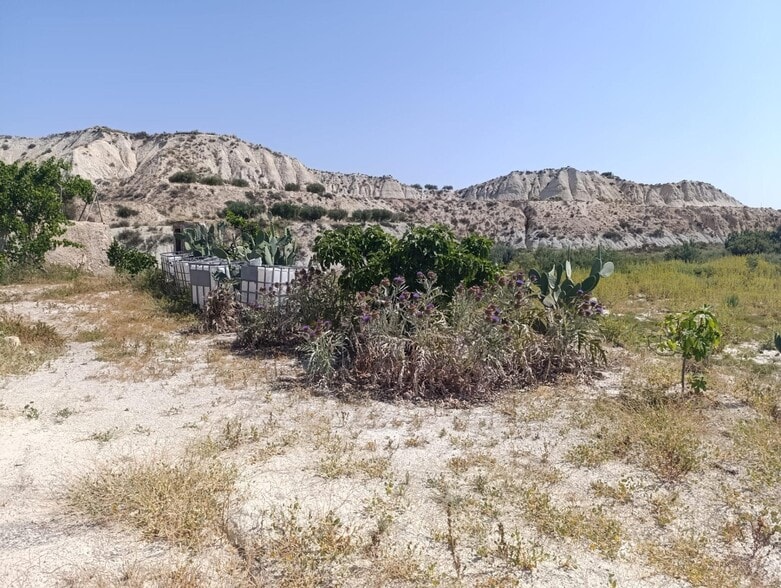 Poligono, de Morón, Albudeite, Murcia à vendre - Plan de site – Image 3 sur 8