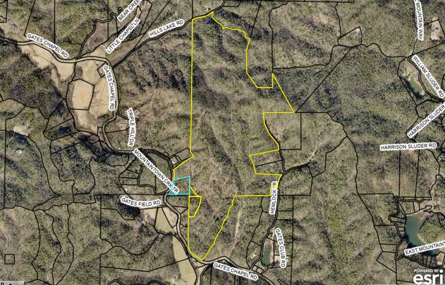 245+/- Acres Gates Chapel Rd, Ellijay, GA à vendre - Autre – Image 2 sur 42