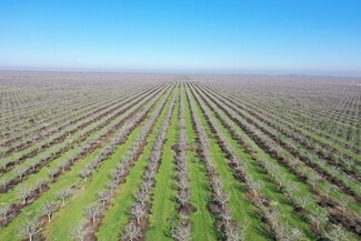 Plus de détails pour Avenue 24 & Road 40, Alpaugh, CA - Terrain à vendre