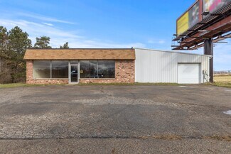 Plus de détails pour 5091 Lansing Rd, Potterville, MI - Local commercial à vendre