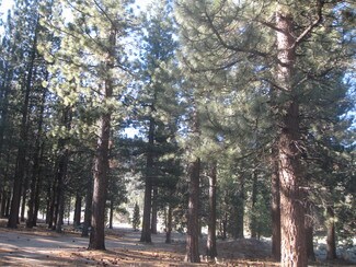 Plus de détails pour 2818 Erwin Ranch Rd, Big Bear City, CA - Terrain à vendre