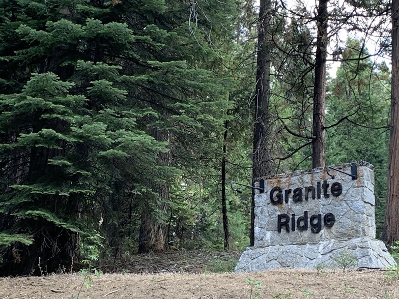 41919 Granite Ridge Road, Shaver Lake, CA à vendre - Photo de l’immeuble – Image 1 sur 12