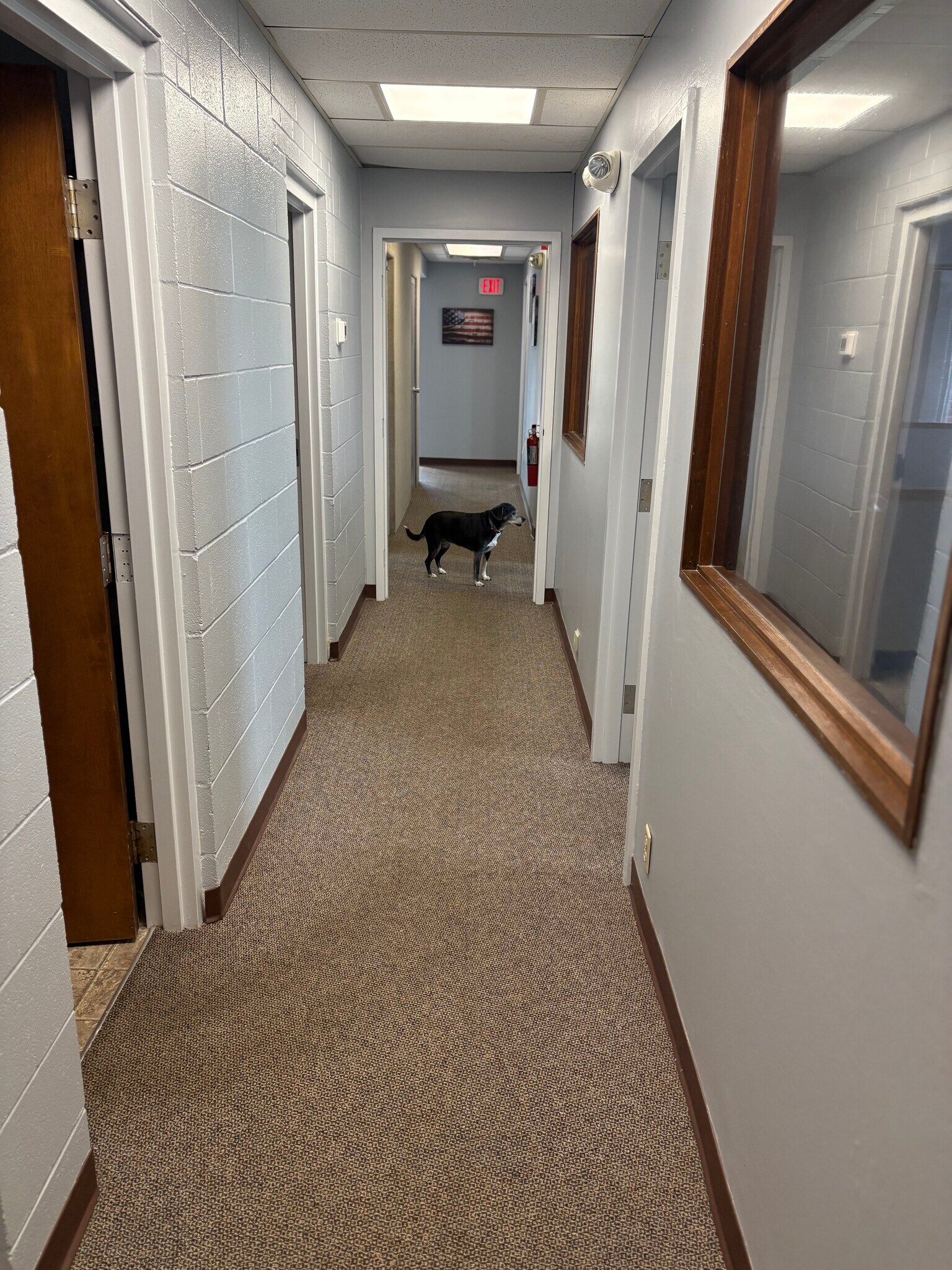 4155 Martindale Rd NE, Canton, OH à louer Photo de l’immeuble– Image 1 sur 7