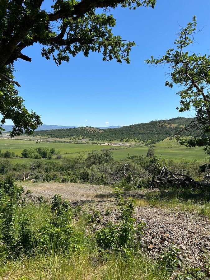 View Photo