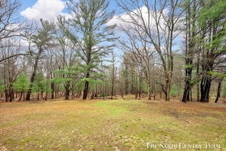 Plus de détails pour 1112 2nd Street, Pentwater, MI - Terrain à vendre