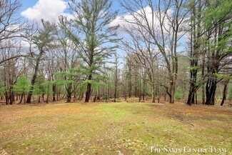 Plus de détails pour 1112 2nd Street, Pentwater, MI - Terrain à vendre