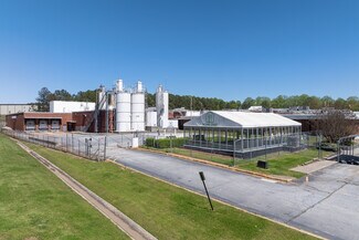 Plus de détails pour 2200 Lithonia Industrial Blvd, Lithonia, GA - Industriel/Logistique à vendre