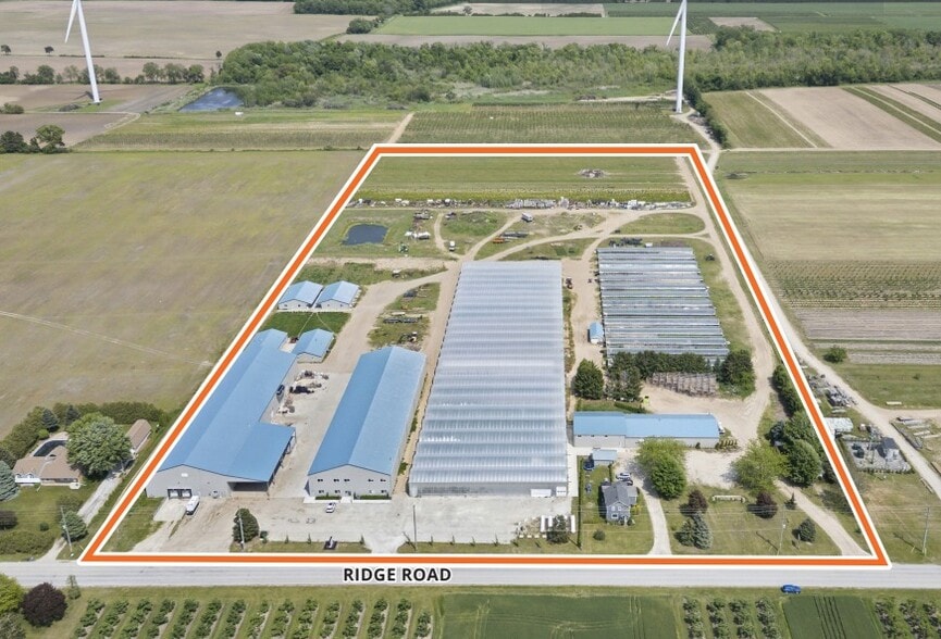 1110 Ridge Rd, Harrow, ON à vendre - Photo principale – Image 1 sur 1