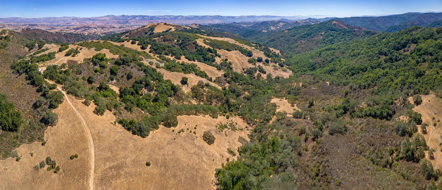 View Photo