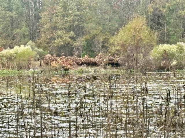 293 E Sidney Noble Ln, DeWitt, AR à vendre - Autre – Image 3 sur 49