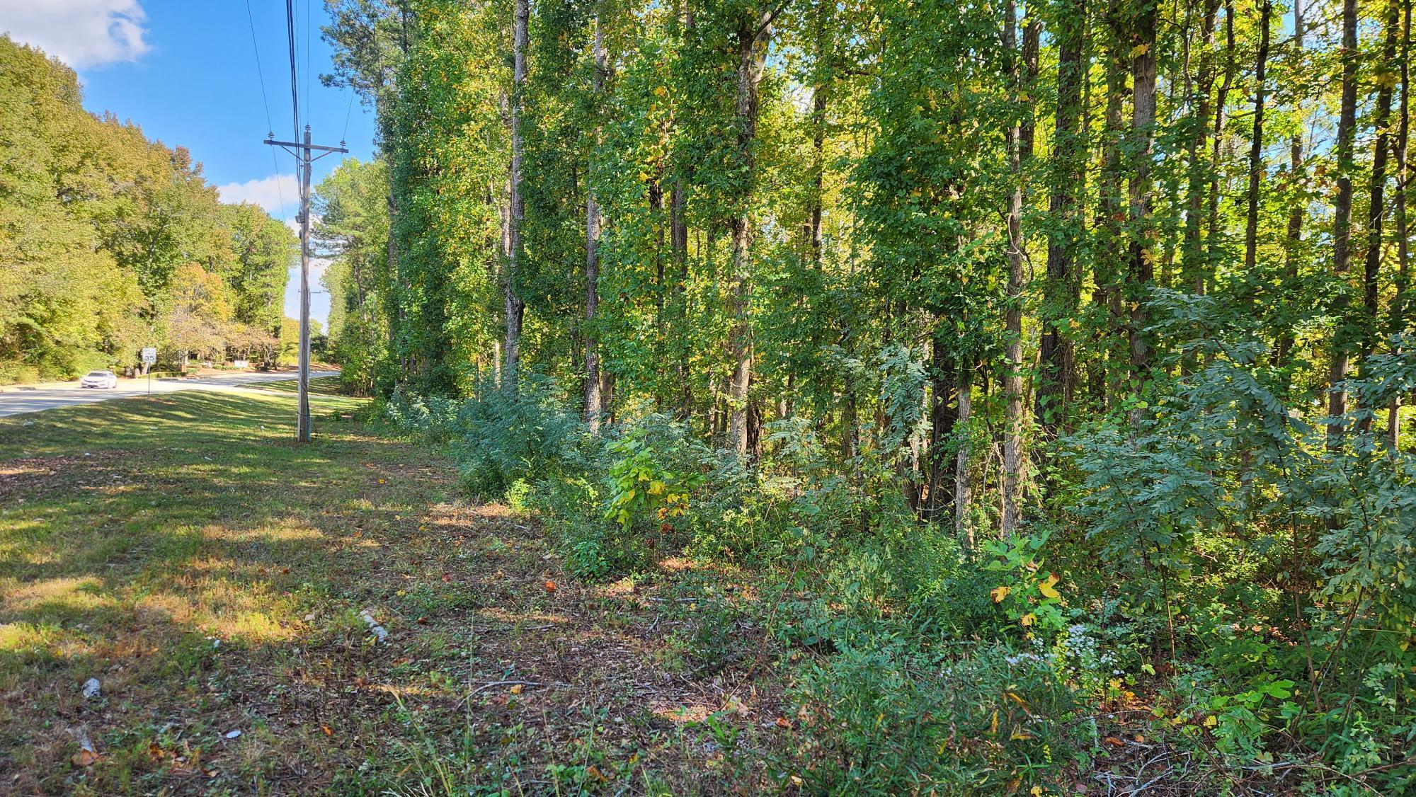 20.69 Acres on Bullsboro Drive Dr, Newnan, GA à vendre Photo de l’immeuble– Image 1 sur 8