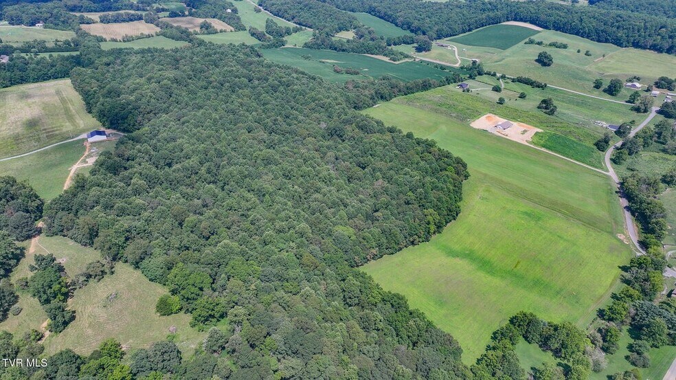 170 McCall Rd, Limestone, TN à vendre - Aérien – Image 3 sur 6