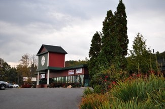 Plus de détails pour 1100 Twin Stacks Dr, Dallas, PA - Local commercial à louer