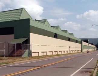 Plus de détails pour 1051 S Main St, Elmira, NY - Industriel/Logistique à louer