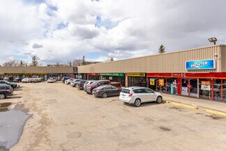 Plus de détails pour 18208-18252 89th Ave NW, Edmonton, AB - Local commercial à louer