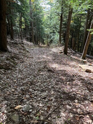 Plus de détails pour 00 Quarry Rd, Chester, VT - Terrain à vendre