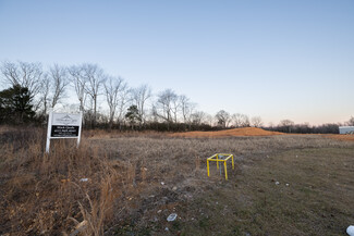 Plus de détails pour 5732 Highway 100, Lyles, TN - Terrain à vendre