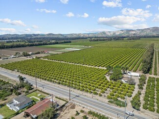 Plus de détails pour 3171 E Los Angeles Ave, Somis, CA - Terrain à vendre