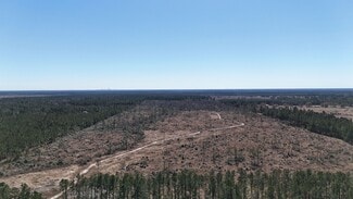 Plus de détails pour 3800 Camp Edgewood rd, Ragley, LA - Terrain à vendre
