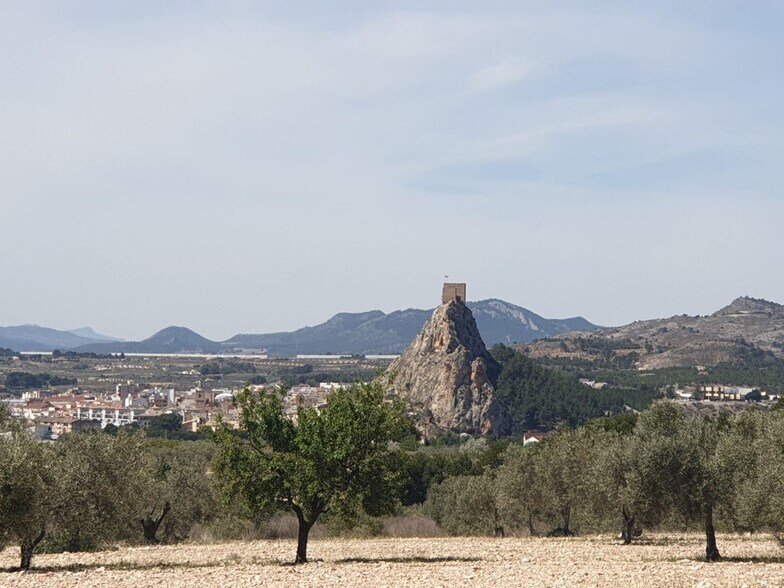Terrain dans Sax, Alicante à vendre - Aérien – Image 2 sur 5