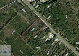 Plus de détails pour 9.33 AC East Oglethorpe Highway, Flemington, GA - Terrain à vendre