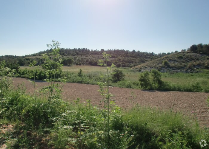 Terrain dans Ocaña, Toledo à vendre - Photo principale – Image 1 sur 22