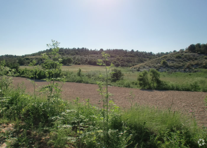 Terrain dans Ocaña, Toledo à vendre - Photo principale – Image 1 sur 22