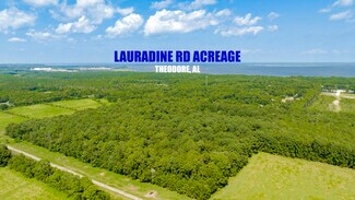 Plus de détails pour 0 Laurendine Road, Theodore, AL - Terrain à vendre