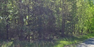 Plus de détails pour CHARLOTTE, NC - SUSBURB – Terrain à vendre, Indian Land, SC