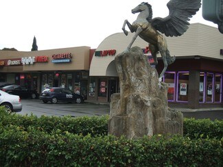 Plus de détails pour 34241-34265 Fremont Blvd, Fremont, CA - Local commercial à louer