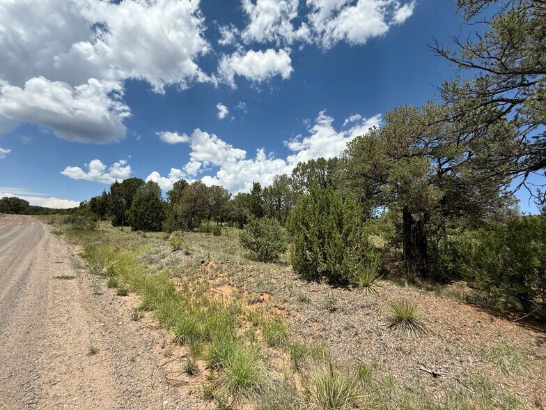 44 Forest 321 Rd, Estancia, NM à vendre - Photo de l’immeuble – Image 3 sur 32
