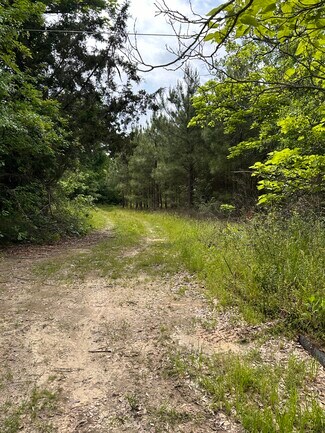 Plus de détails pour 4521 Gregg Tex Rd, Longview, TX - Terrain à vendre