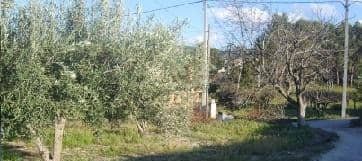 Terrain dans Ontinyent, Valencia à vendre Photo de l’immeuble– Image 1 sur 5